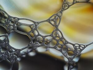 大人ニキビを防ぐために石油系界面活性剤を避ける方法は？