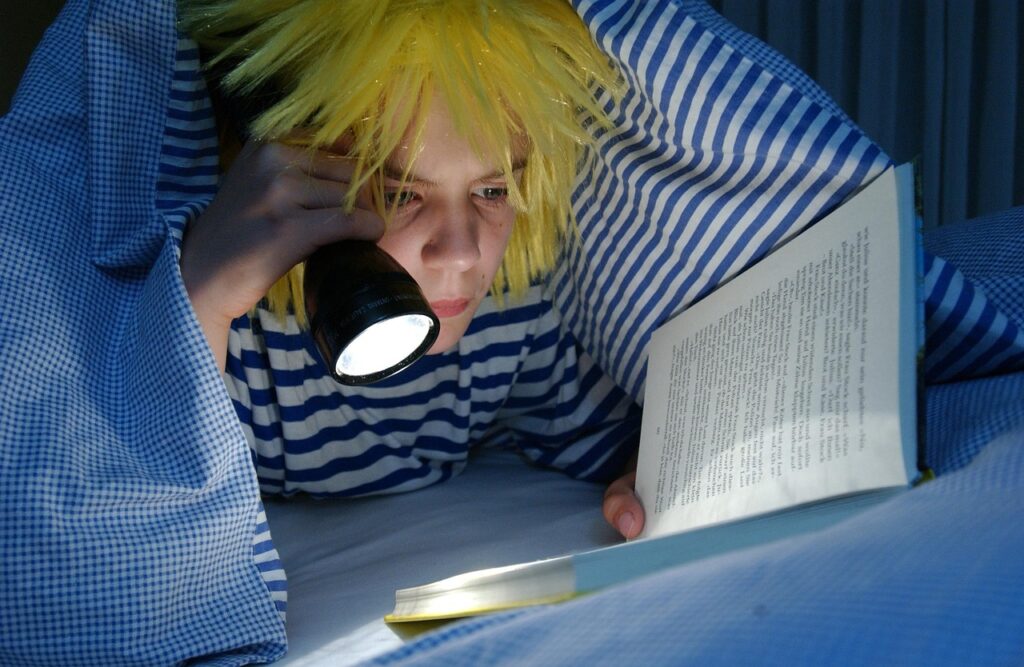 布団のダニが原因でニキビができるって本当？