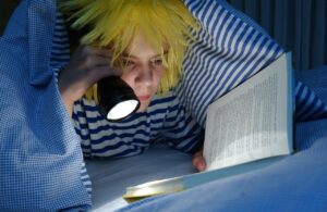 布団のダニが原因でニキビができるって本当？