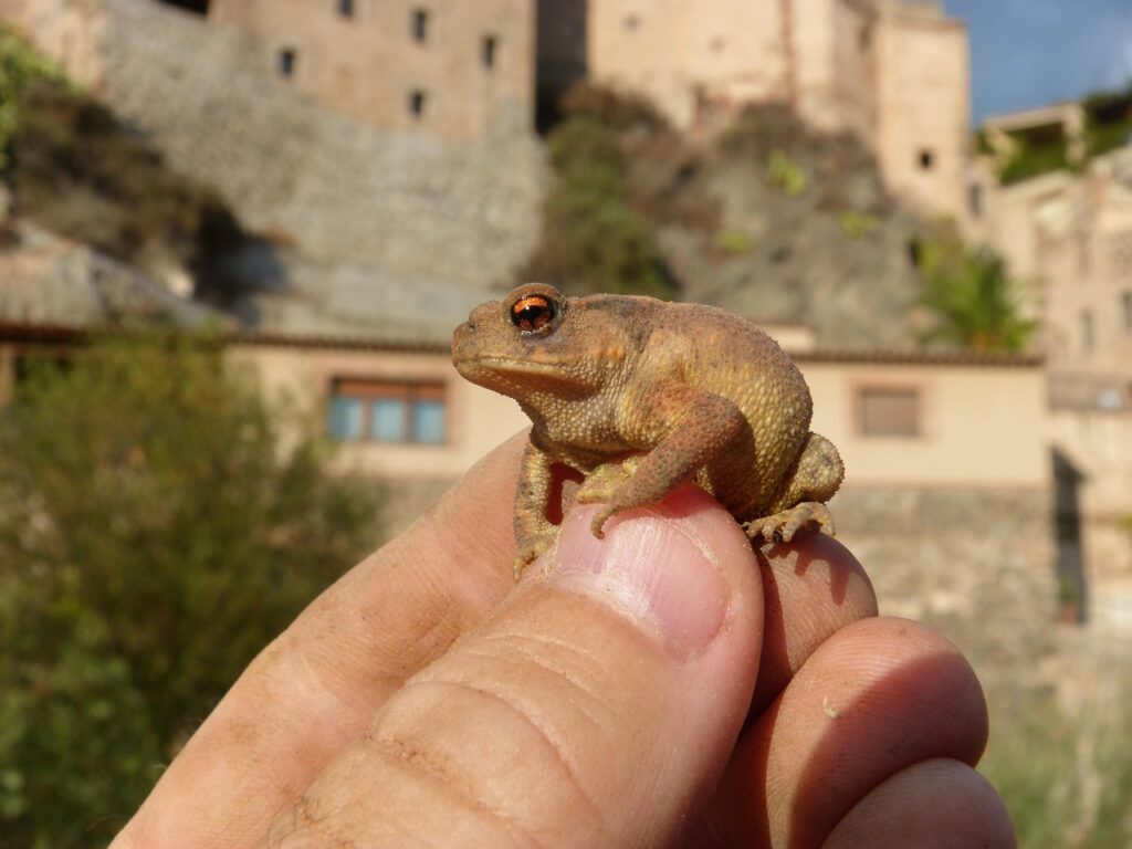 肌荒れを防ぐための布団の選び方は？