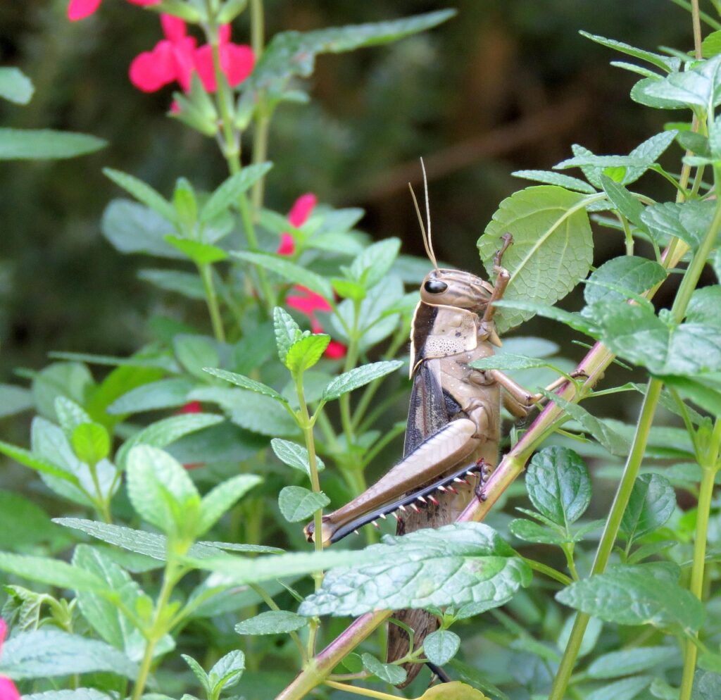 食べ過ぎニキビを防ぐための効果的な対策は？