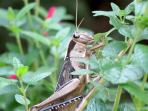 食べ過ぎが原因でできるニキビを防ぐ方法は？