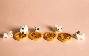 食べ過ぎが原因でニキビができる理由とは？