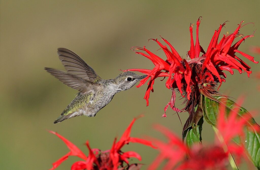 食べ過ぎによるニキビの予防法は？