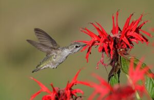 食べ過ぎによるニキビの予防法は？