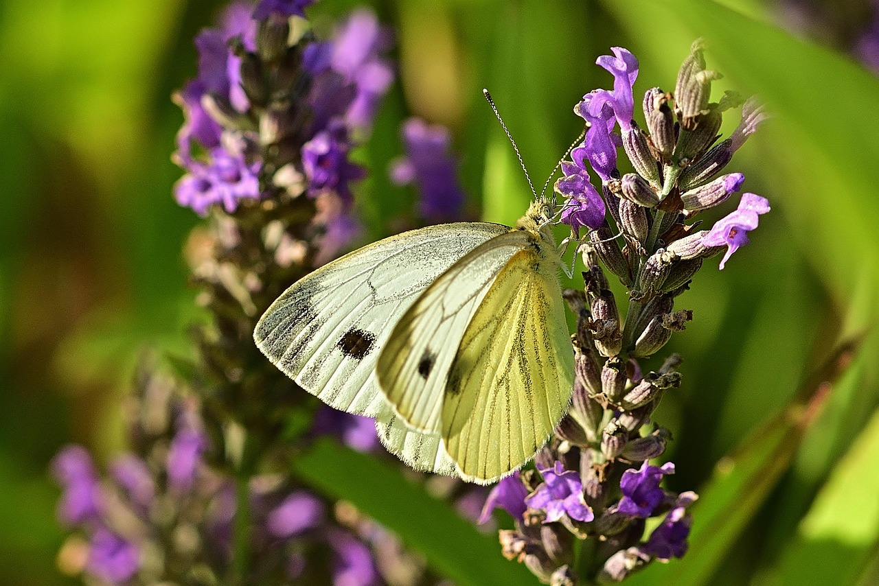 大人ニキビ対策に必要な水分摂取量はどれくらい？