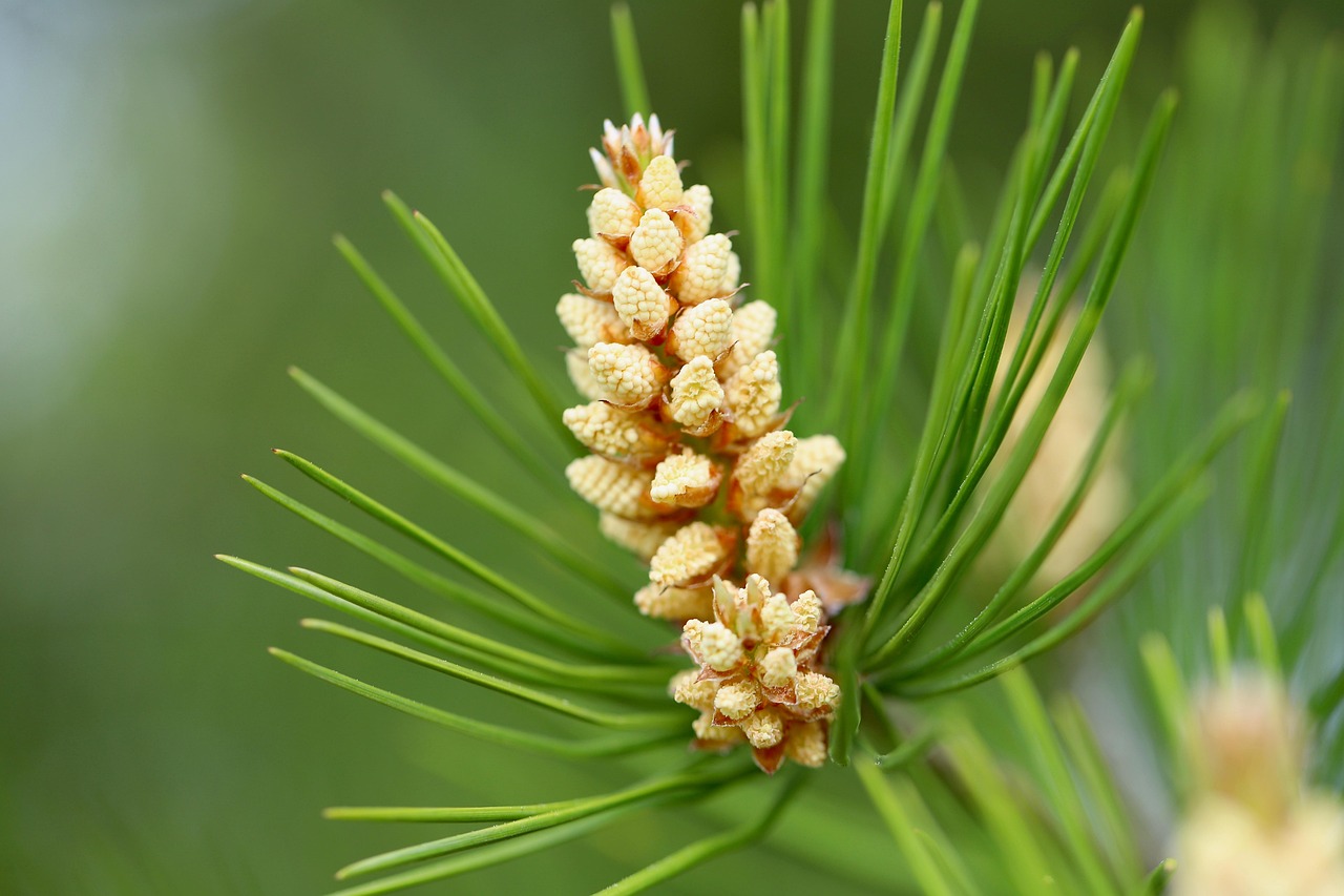 あごのニキビを早く治す方法は？