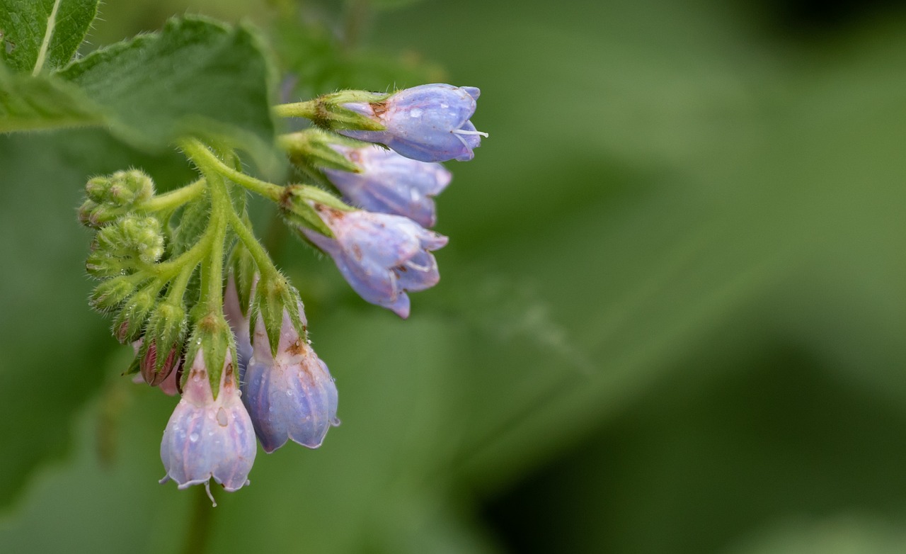 大人ニキビが頬に繰り返す時の効果的な直し方は？