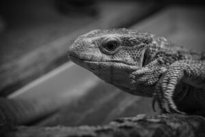 美肌宣言を実現するための継続方法は？