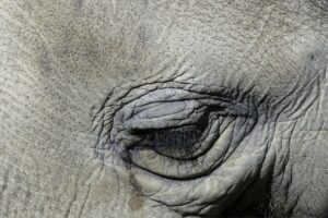 大人ニキビと毛穴の開きを改善するための効果的な方法は？